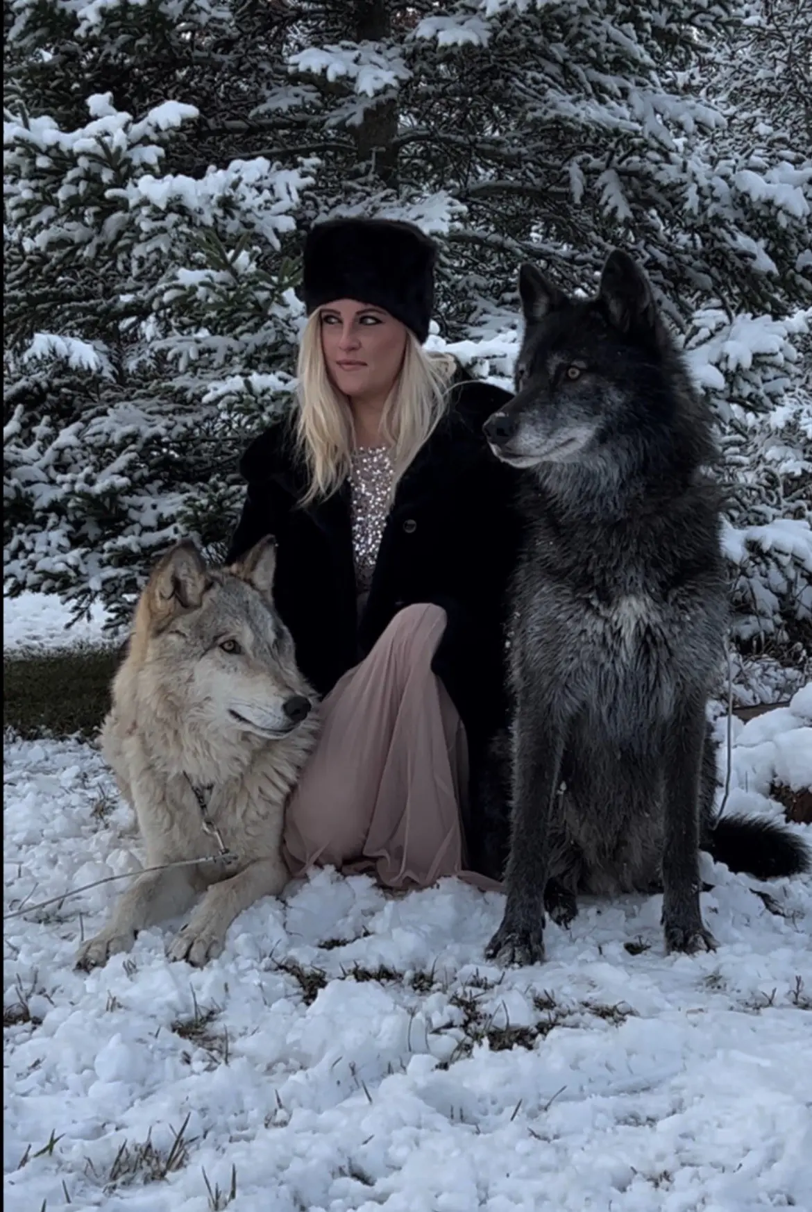 model posing with wolf dogs