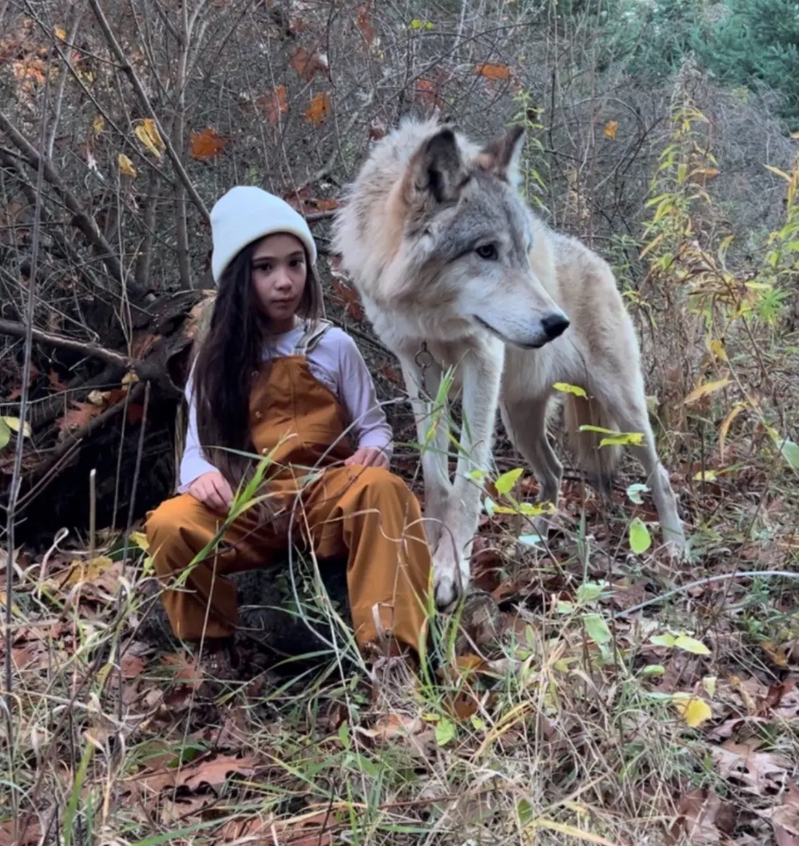 photo shoot of girl with wolf dog