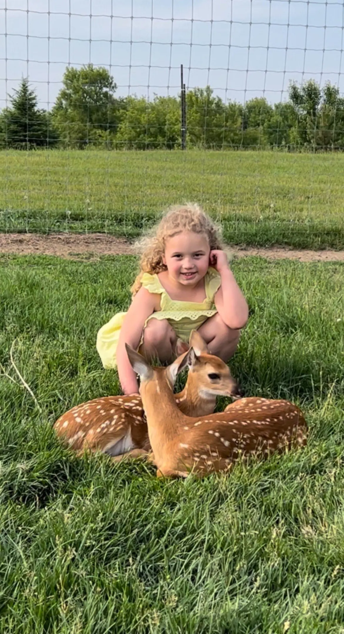 little girl with 2 baby deer