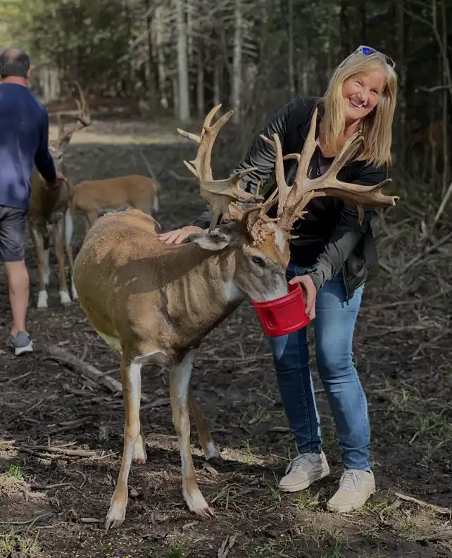 lady feeding a buck