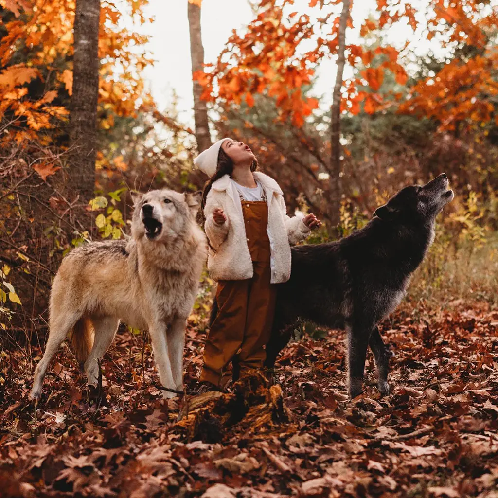little girl howling with wolf dogs
